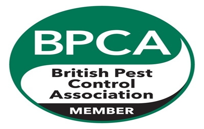 BPCA-logo-member-2026
